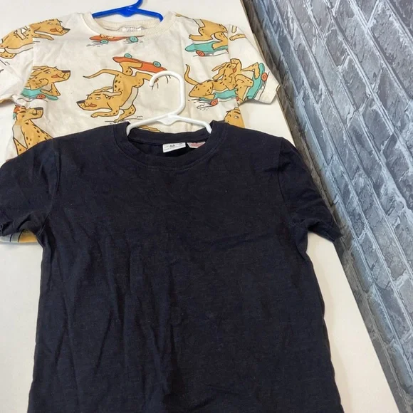 Zara T-shirts - Picture 9 of 9